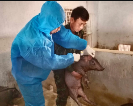 Ảnh chụp màn hình 2026-01-24 200007