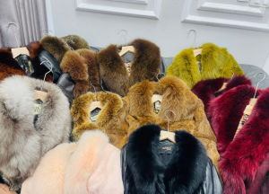 Ảnh chụp màn hình 2026-01-28 215825